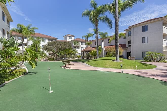 A sunny outdoor setting with a putting green, surrounded by palm trees and apartment buildings.