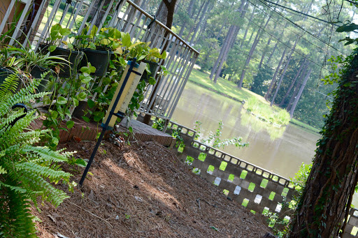 Pinewood Manor Nursing Home & Rehabilitation Center