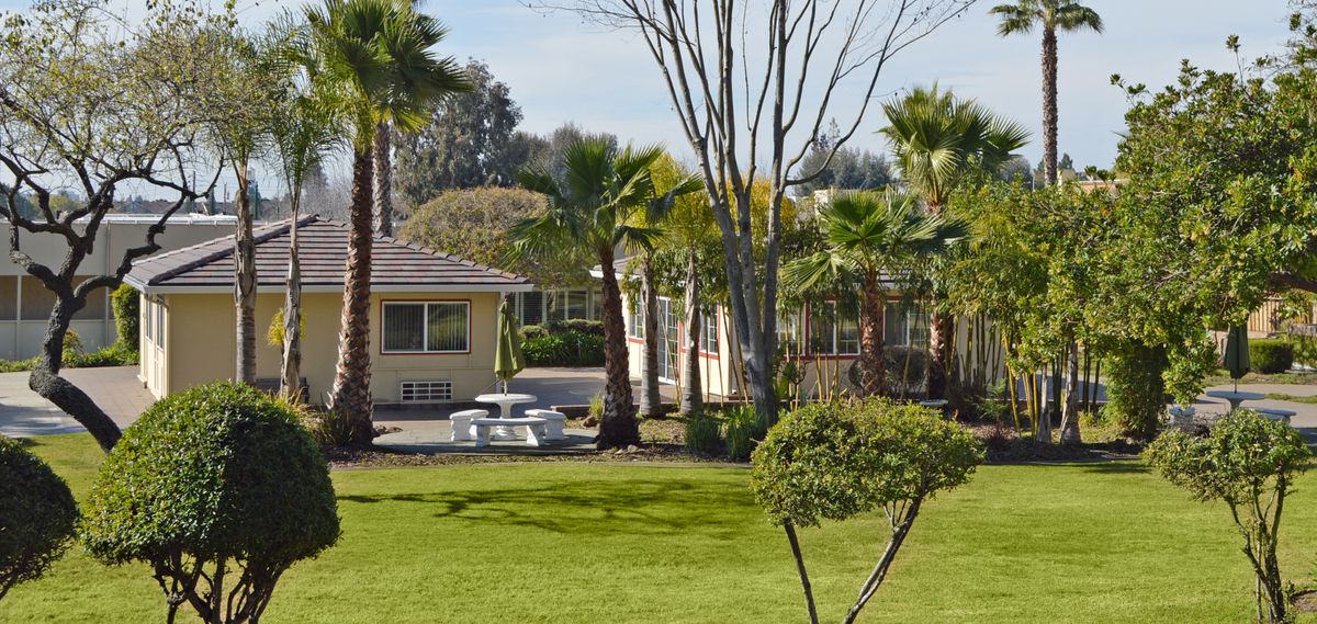 A scenic view of a house surrounded by palm trees, with a well-maintained lawn and outdoor seating area.