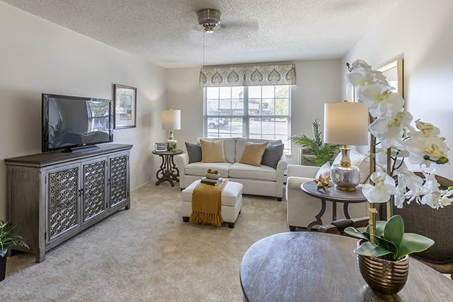 A cozy living room with neutral tones, featuring a sofa, coffee table, TV, and floor lamps.