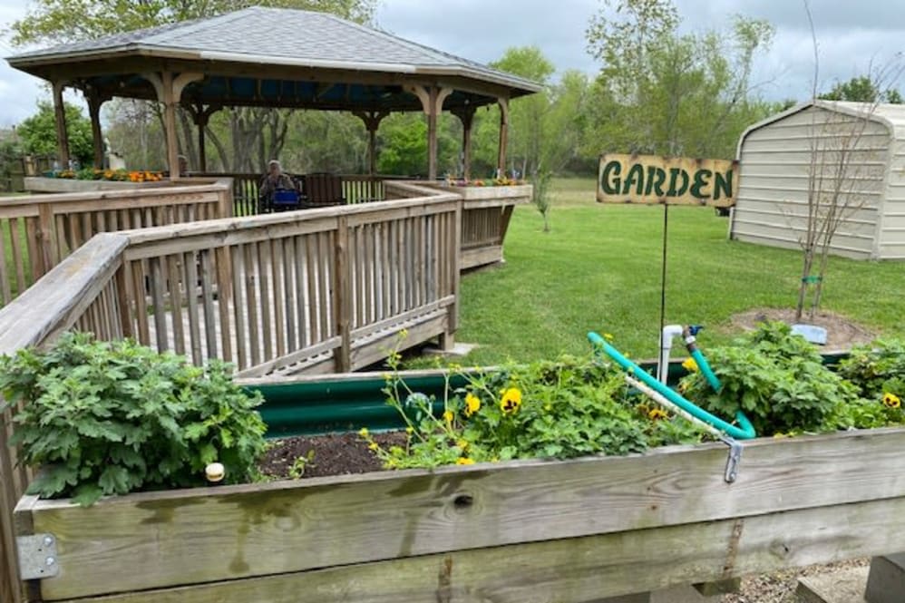 A garden scene with a raised bed full of plants next to a wooden gazebo.