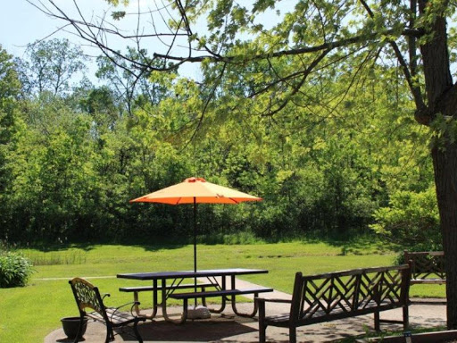 A sunny outdoor picnic area with a vibrant orange umbrella providing shade, surrounded by lush green trees.