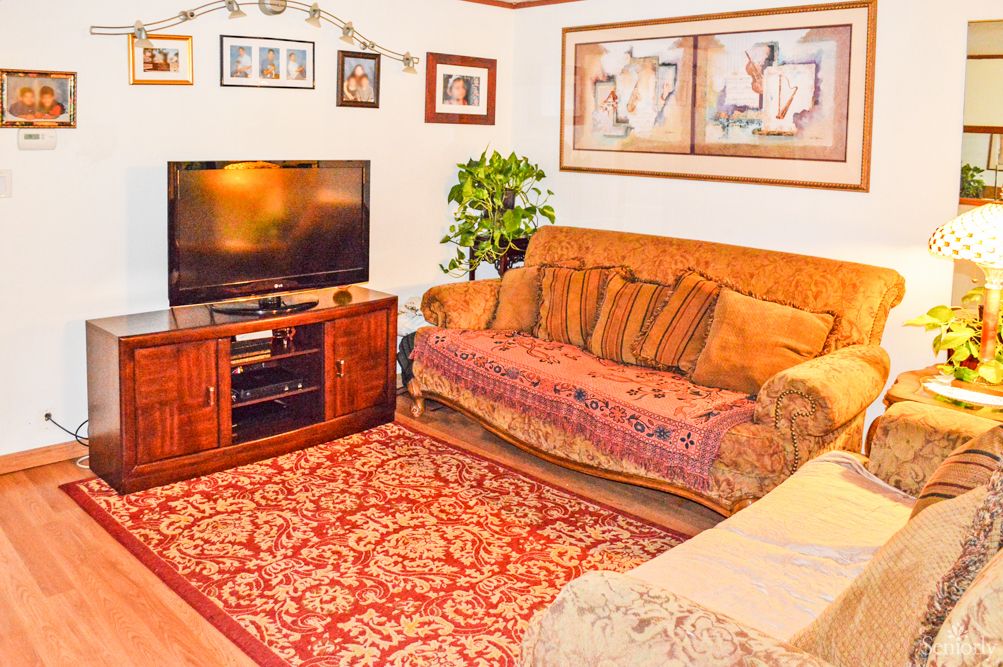 A cozy living room with a sofa, television, and decorative artwork.