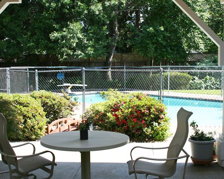 A backyard patio with a table and chairs overlooking a swimming pool surrounded by lush greenery.