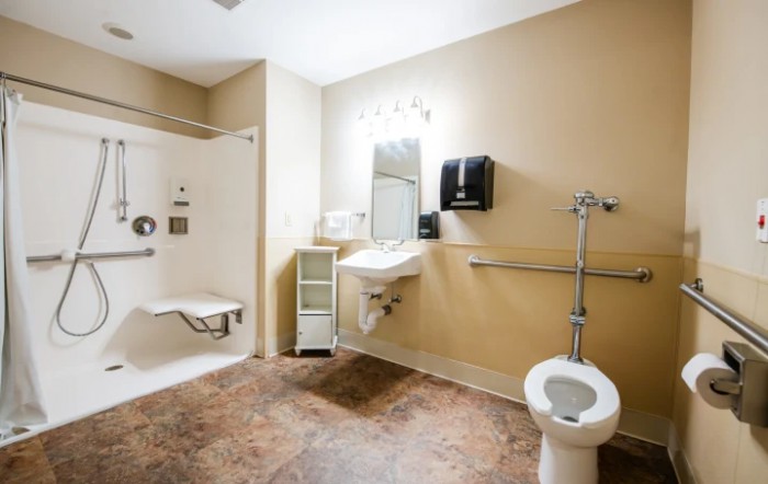 An accessible bathroom with a shower, toilet, sink, and grab bars.