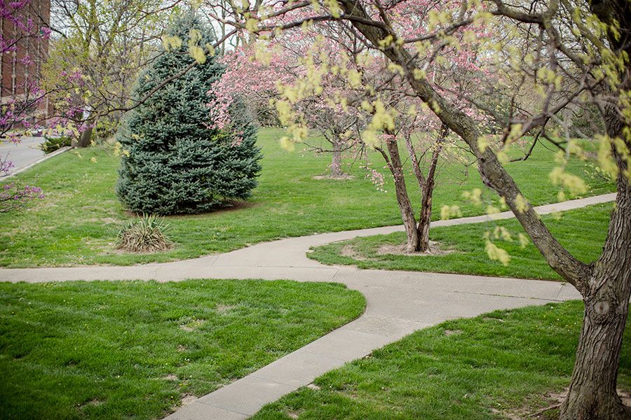 A serene park with winding pathways and lush greenery.