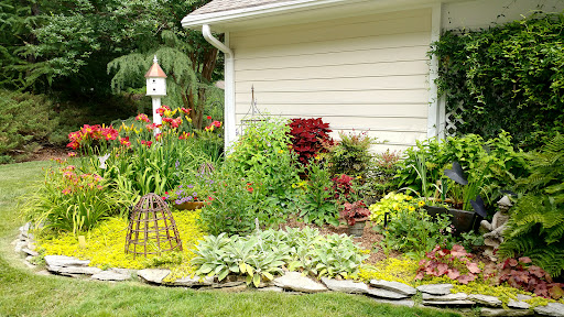 A vibrant garden featuring a variety of flowers and greenery, enhancing the beauty of the outdoor space.