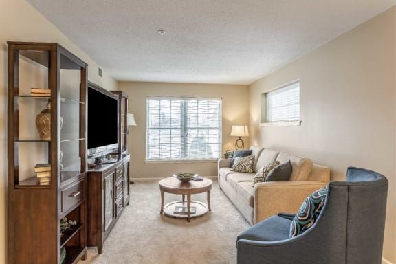 A cozy living room with a sofa, coffee table, and television, illuminated by natural light from the window.