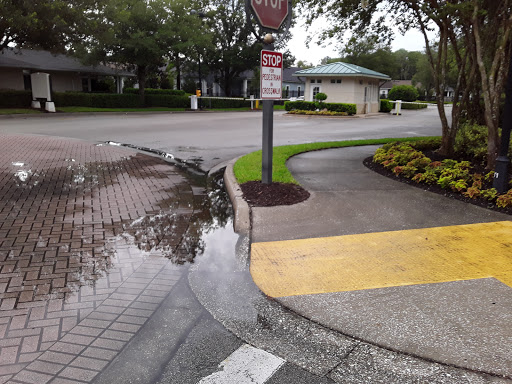 A view of a street corner with water pooling near the curb and a visible sign.