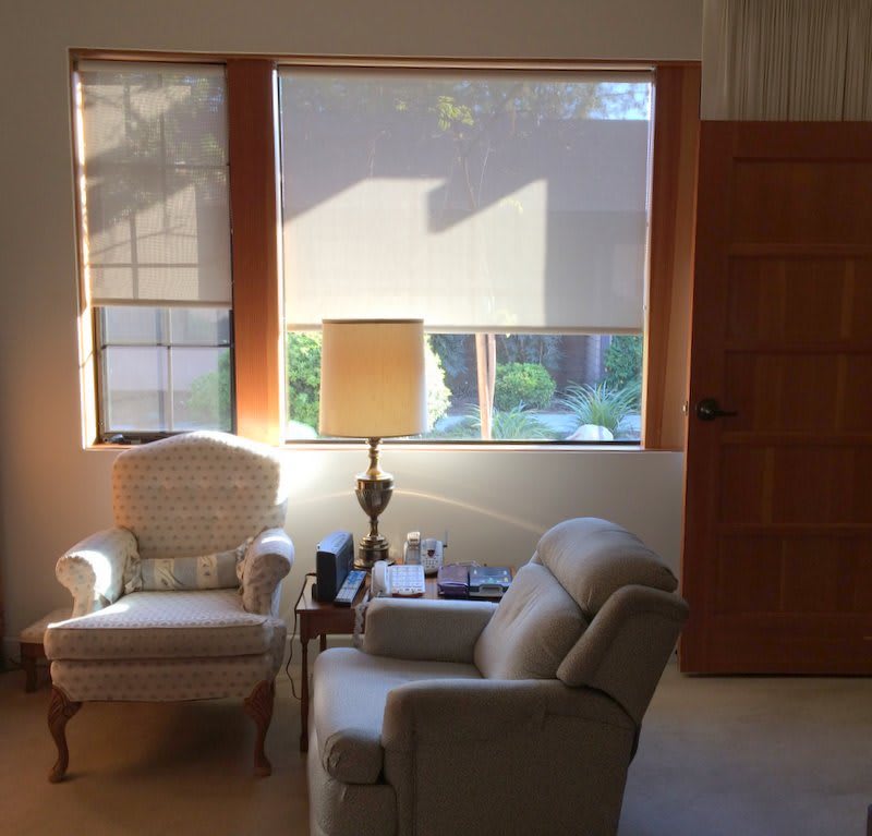 A cozy living room setup with two armchairs and a lamp by the window, illuminated by natural sunlight.