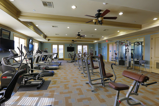 A spacious gym equipped with various exercise machines and a bright, welcoming atmosphere.