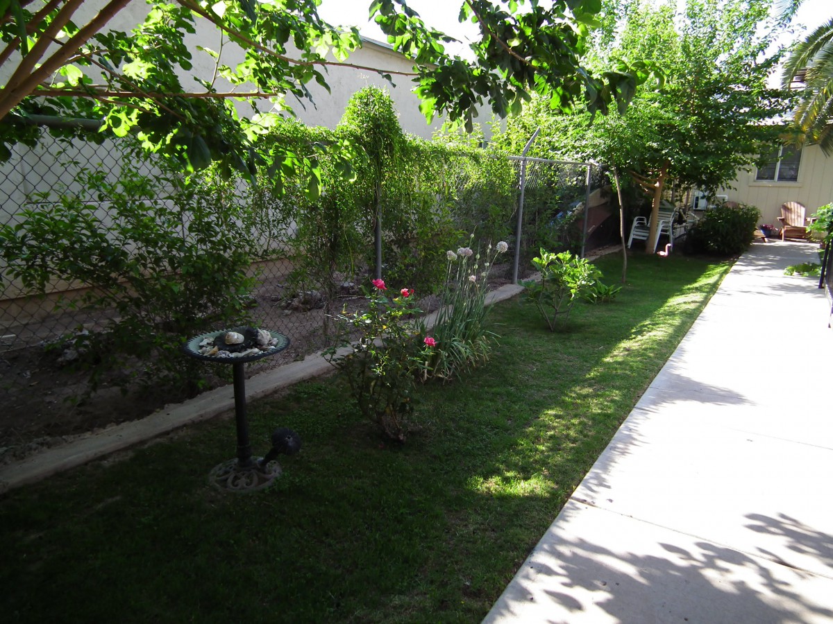A serene garden scene featuring a lush lawn, various plants, and a birdbath under a sunny sky.