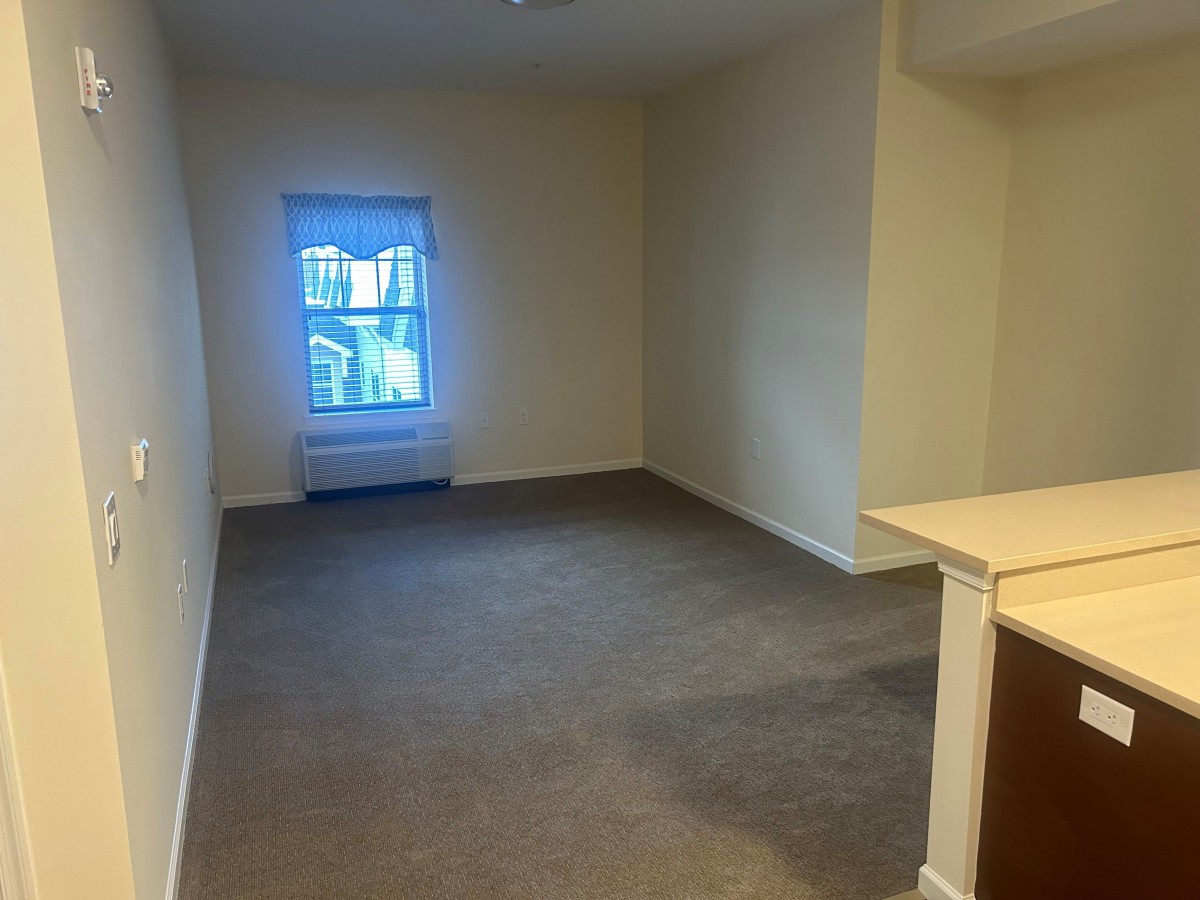 An empty apartment room with carpet flooring and a single window.