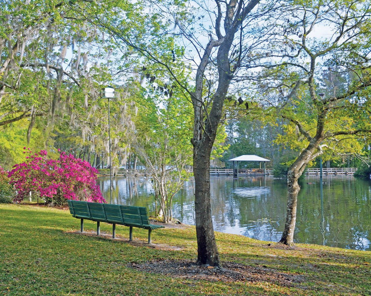 A tranquil park scene with a bench overlooking a lake surrounded by lush trees and blooming flowers.
