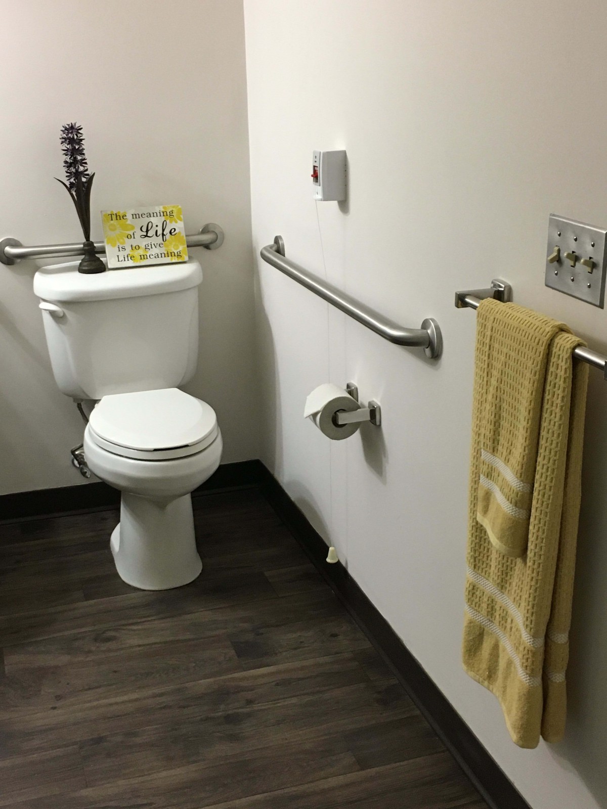 A bathroom with safety handrails and a neatly hung towel.