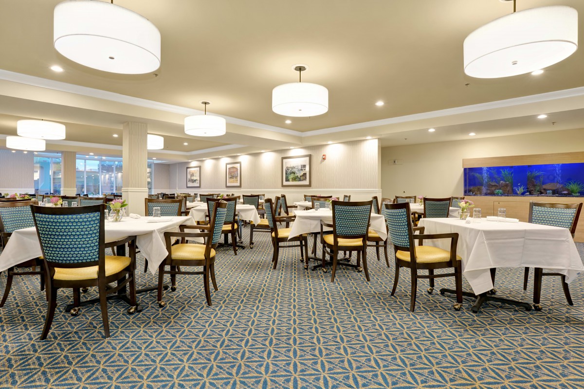 Elegant dining room with neatly arranged tables and chairs, featuring soft lighting and a carpeted floor.