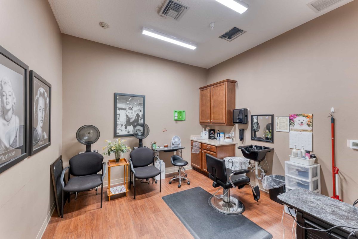 A well-equipped hair salon with styling chairs, mirrors, and hairdressing tools.
