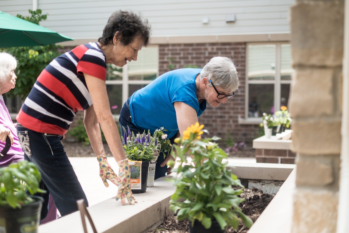 Two women engaged in gardening, tending to plants outdoors.