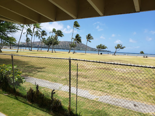 A serene view of the beach with palm trees swaying in the breeze and a chain-link fence marking the boundary.