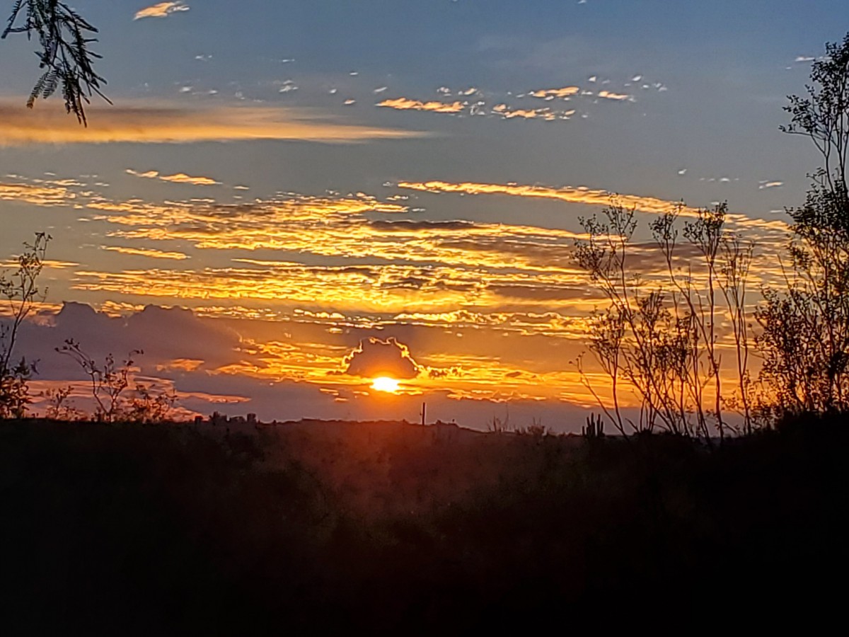 A beautiful sunset with vibrant clouds and silhouetted trees.