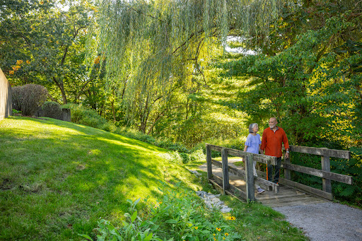 A couple enjoys a peaceful walk in a lush green park with their dog, crossing a small wooden bridge.