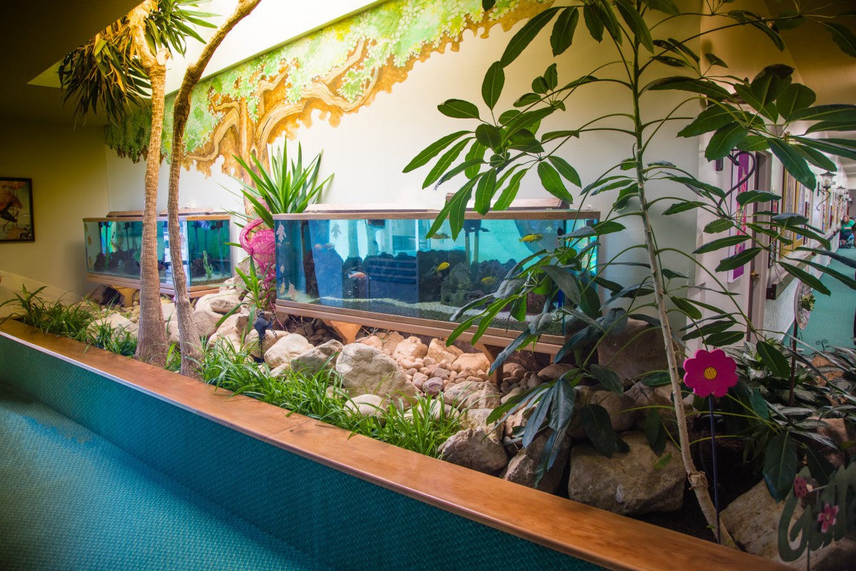 An indoor garden with lush greenery and a decorative backdrop.