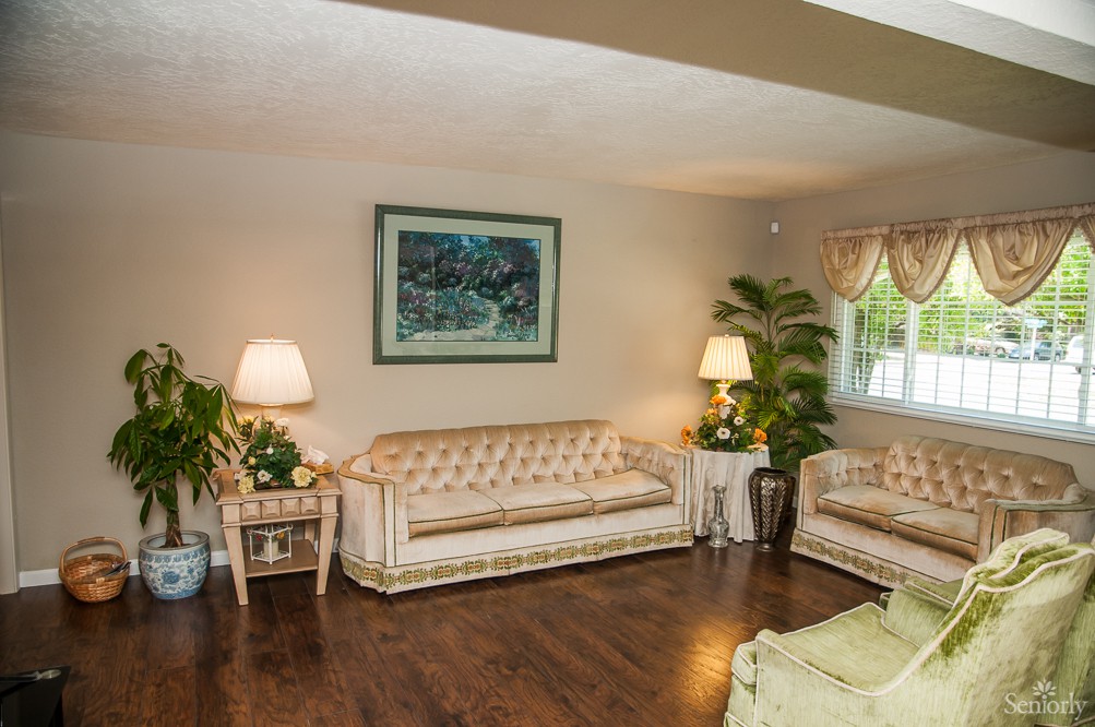 A cozy living room with vintage sofas, elegant lamps, and decorative plants on a wooden floor.