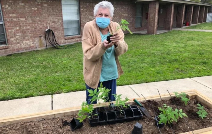 A senior person wearing a mask is gardening outdoors, holding small plants in front of a building.