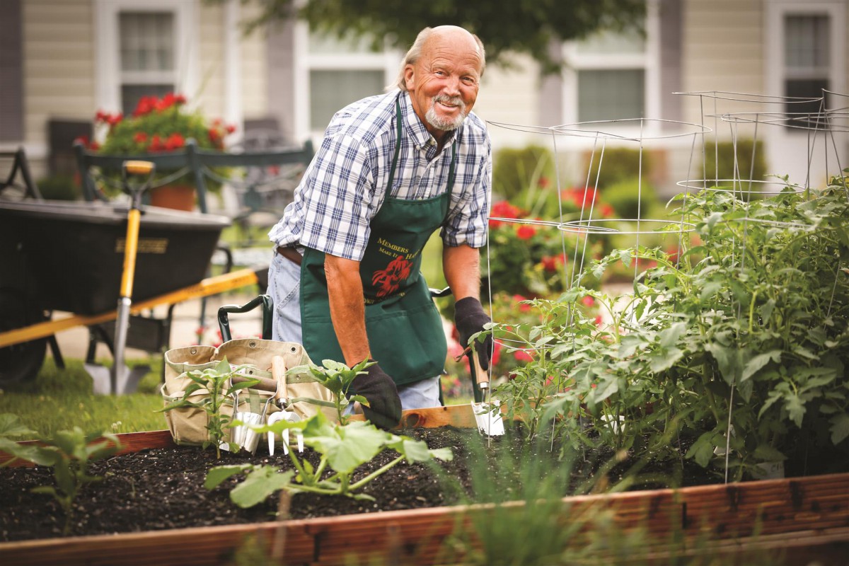 An elderly man enjoys gardening in a lush outdoor garden.