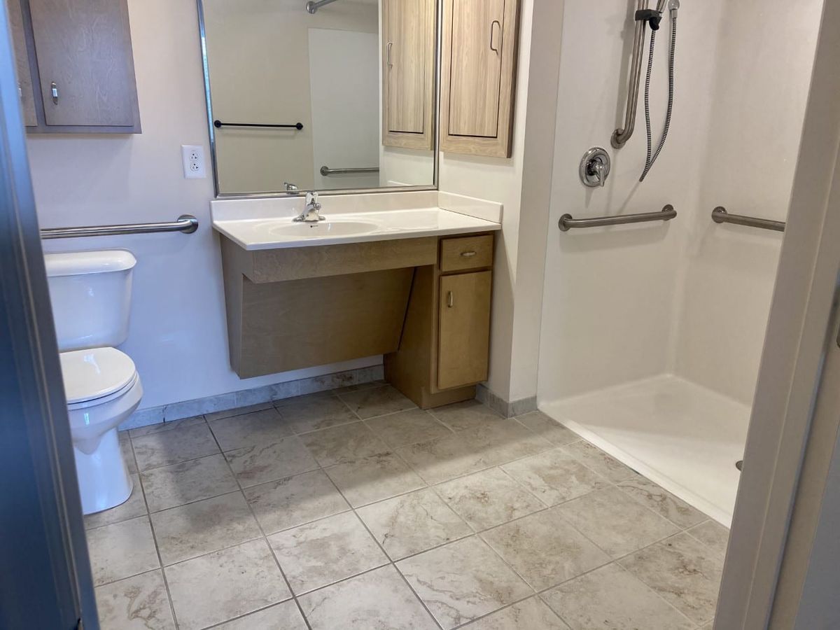 An accessible bathroom with a vanity, toilet, and walk-in shower equipped with handrails.