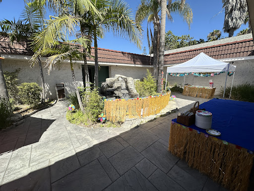 A sunny backyard featuring palm trees, a decorative fence, and a water feature, perfect for outdoor gatherings.