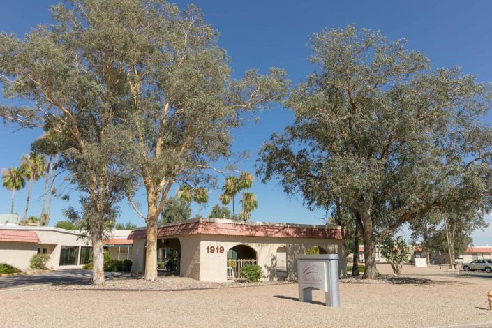 A house surrounded by desert vegetation and palm trees under a clear blue sky.