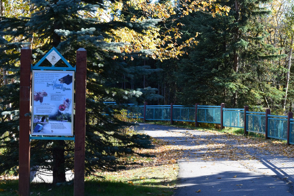 A peaceful forest pathway with a sign and a small bridge in the distance.