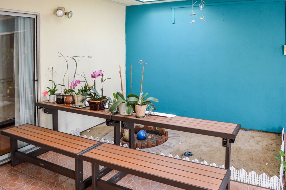 A cozy indoor garden with benches and a variety of potted plants, including orchids, set against a blue accent wall.