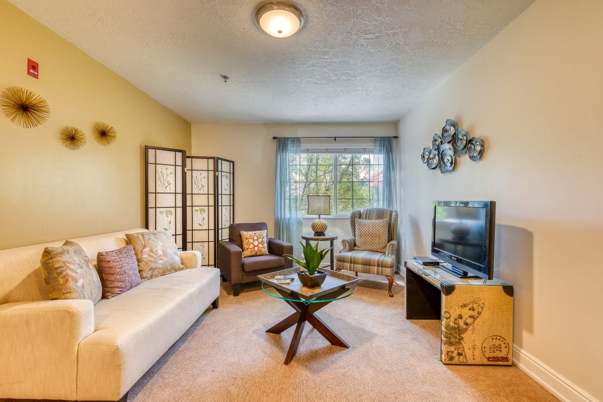 A cozy living room with a sofa, armchair, coffee table, and TV, decorated with warm colors and natural light streaming in through the window.