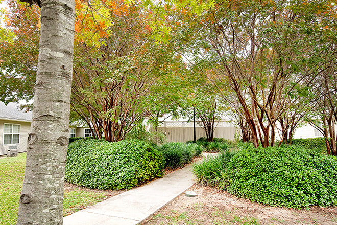 A peaceful pathway surrounded by lush greenery and trees.
