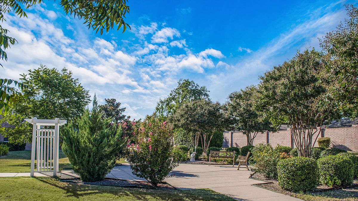 A serene park scene with lush trees and a clear blue sky.