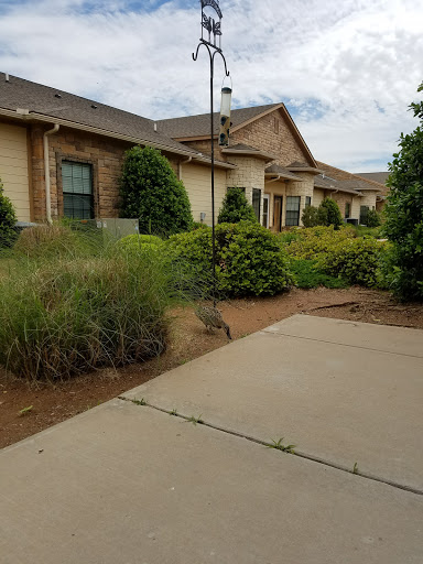 A well-maintained residential landscape featuring various plants and a concrete pathway.