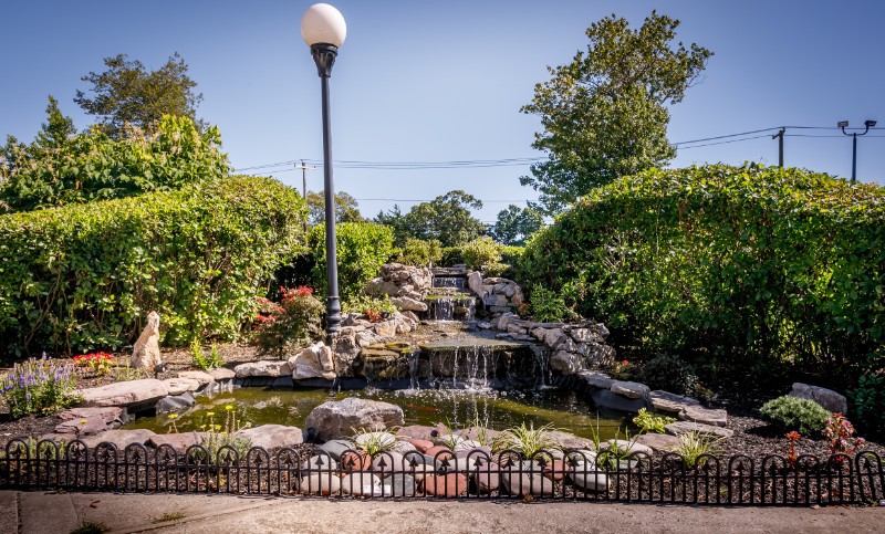 A serene garden featuring a cascading waterfall and a tranquil pond surrounded by lush greenery.