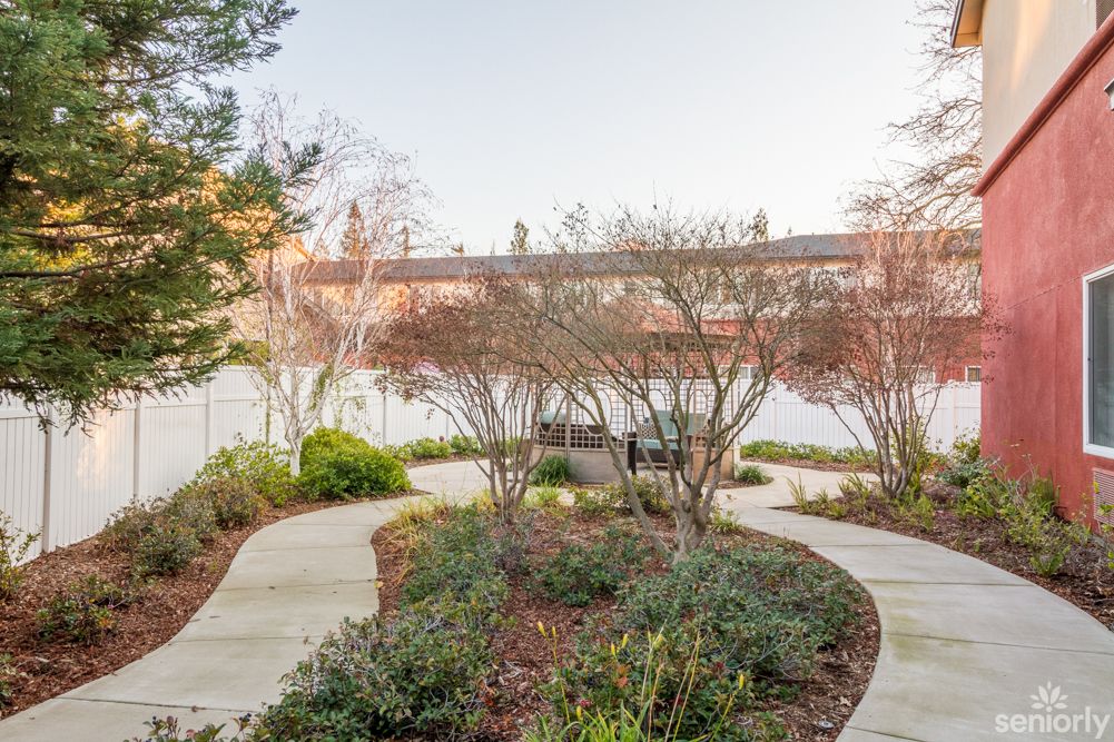 A serene garden pathway with lush greenery and shrubs.