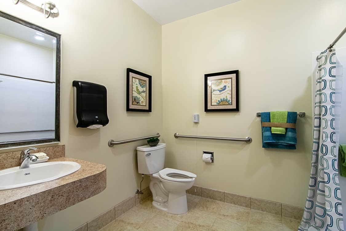 A clean, accessible bathroom with a toilet, sink, and decorative artwork.