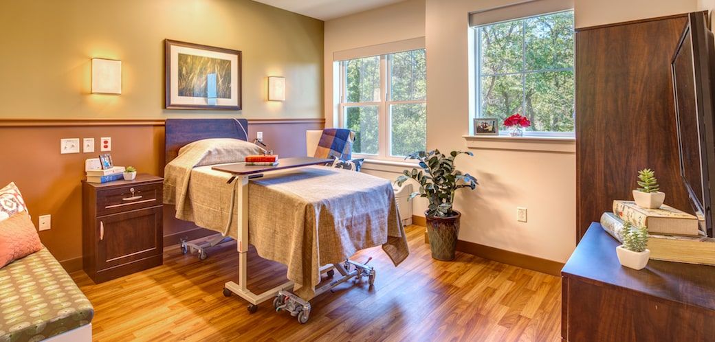 A bright and clean hospital room with a bed, large windows, and plants.