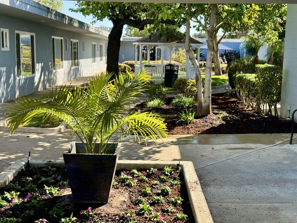 A well-maintained garden with a variety of plants and trees lining a paved pathway under the sunlight.