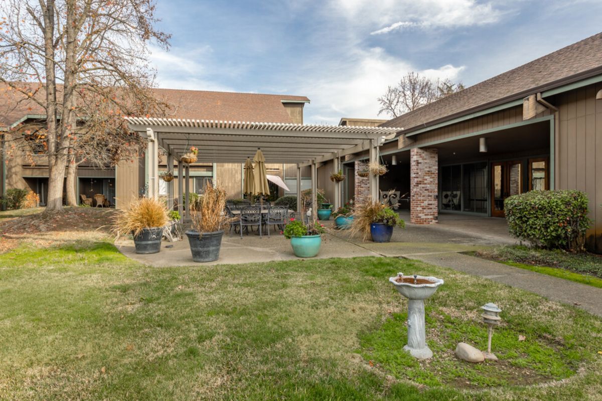 A cozy backyard patio with a pergola, surrounded by potted plants and outdoor seating.