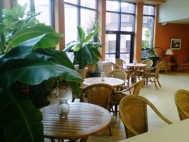 A cozy indoor cafe with wooden tables, chairs, and lush green plants.