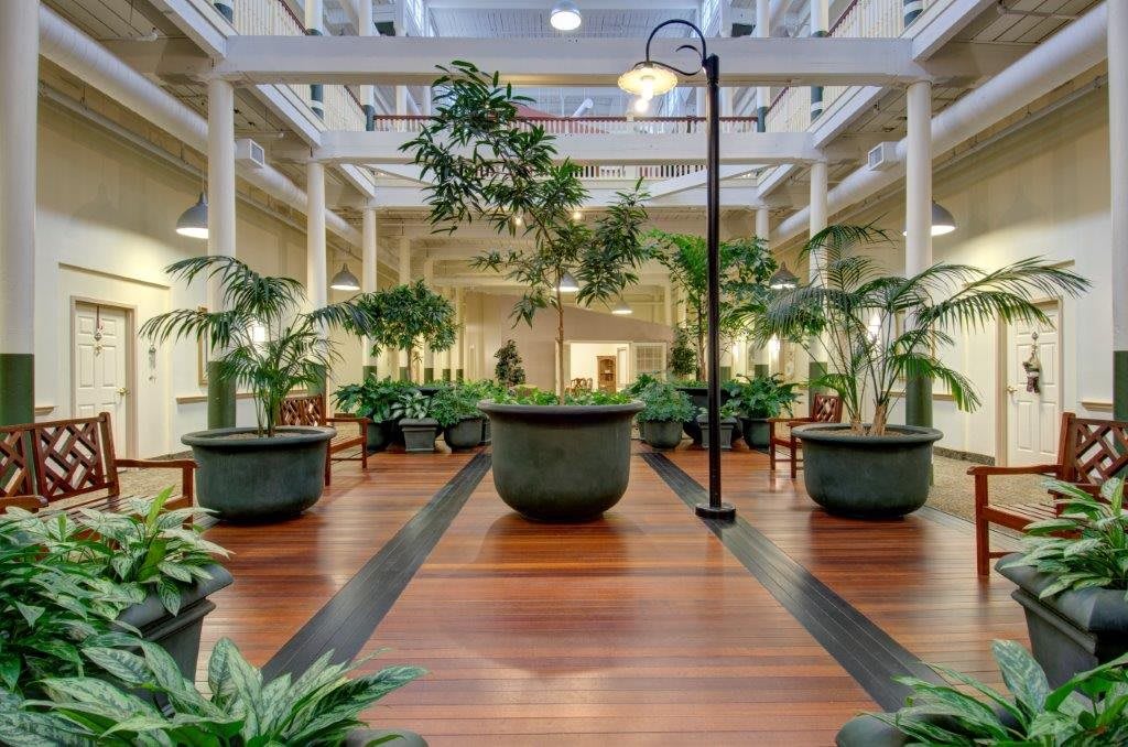 A beautifully designed indoor atrium with potted plants and a wooden floor, bathed in natural light.