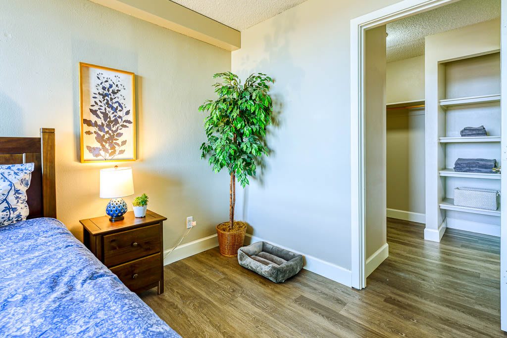 A cozy bedroom with a nightstand, lamp, and decorative plant.