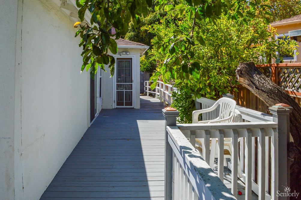 A sunlit walkway surrounded by lush greenery and a white fence.
