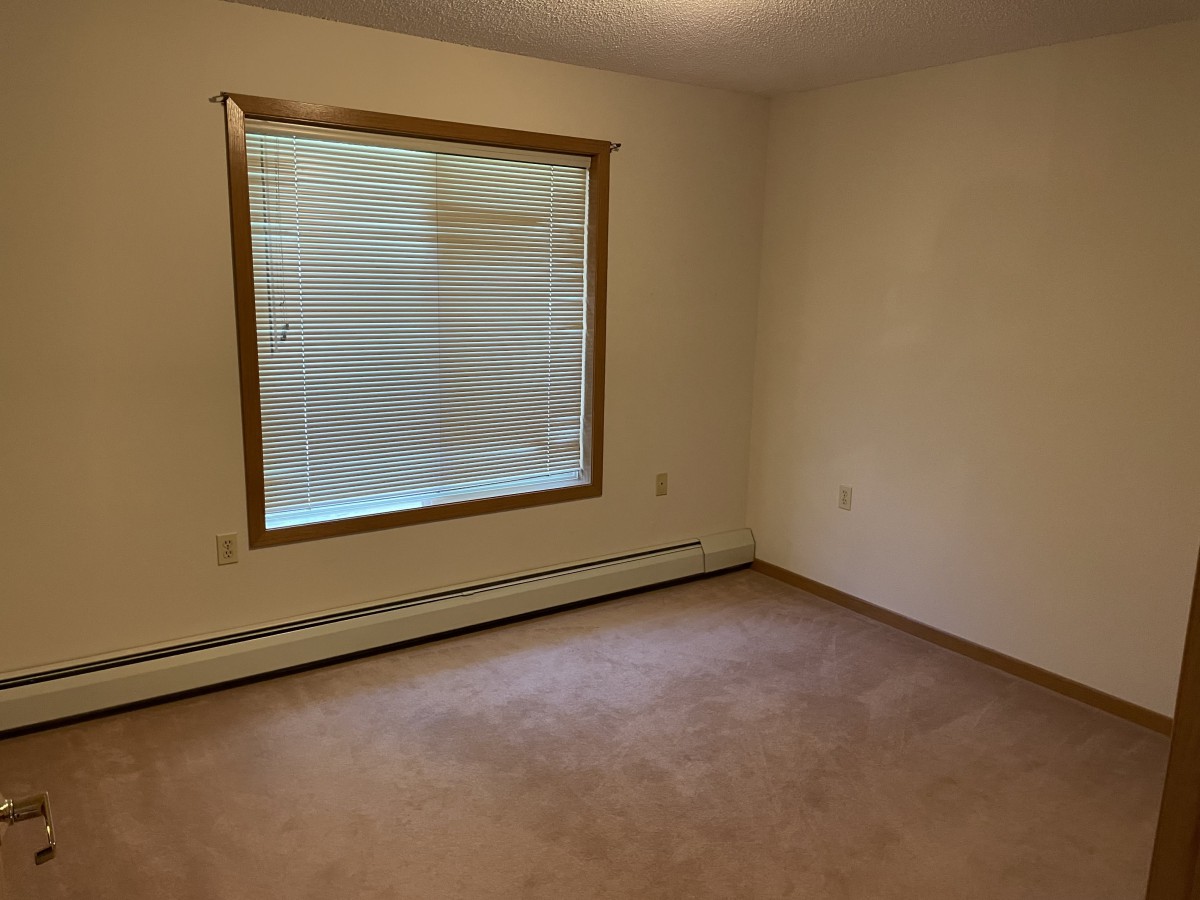An empty room with carpet, a window, and blinds.