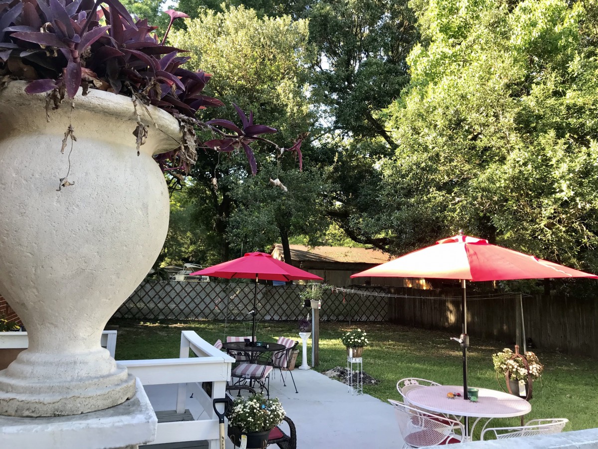 A tranquil backyard patio with red umbrellas, surrounded by lush green trees.